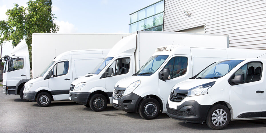 Camions